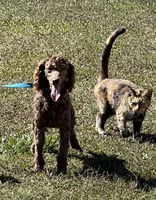 processed/f4f8128a-6f0a-4d8b-b482-1fb87e33d0db/listing/3526da2d-bd64-4ae0-82c5-d932ae9366c0/661f2d7e-1df2-45a9-9829-74e70428813f