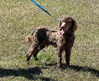 processed/f4f8128a-6f0a-4d8b-b482-1fb87e33d0db/listing/3526da2d-bd64-4ae0-82c5-d932ae9366c0/7d40374d-ad13-4137-a97c-f1579e5b8f4c