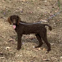 processed/f4f8128a-6f0a-4d8b-b482-1fb87e33d0db/listing/3526da2d-bd64-4ae0-82c5-d932ae9366c0/90bd29a4-a0a1-48ed-8076-e473d0a5e5d6