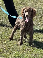 processed/f4f8128a-6f0a-4d8b-b482-1fb87e33d0db/listing/3526da2d-bd64-4ae0-82c5-d932ae9366c0/b3053bee-525b-4087-aa13-e06f837302ea