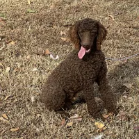 processed/f4f8128a-6f0a-4d8b-b482-1fb87e33d0db/listing/3526da2d-bd64-4ae0-82c5-d932ae9366c0/c3c8a2ba-4135-4a00-b8d0-4a5d71300e77