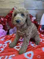 processed/f4f8128a-6f0a-4d8b-b482-1fb87e33d0db/listing/3efaed0e-ea5d-4b0b-b785-ccf251dfc57d/14d538d7-a2bb-4c0d-9388-fd324e5441b3