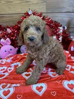 processed/f4f8128a-6f0a-4d8b-b482-1fb87e33d0db/listing/3efaed0e-ea5d-4b0b-b785-ccf251dfc57d/e16bf3c8-bb05-4b3c-a01c-3630d88d0dd8