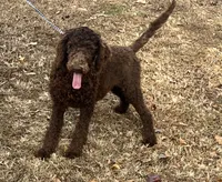 processed/f4f8128a-6f0a-4d8b-b482-1fb87e33d0db/listing/489f4663-bc68-4d05-a4c3-18c6a9e16828/2042e6e1-9471-4e82-bb44-3213cf3147c6