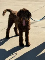 processed/f4f8128a-6f0a-4d8b-b482-1fb87e33d0db/listing/489f4663-bc68-4d05-a4c3-18c6a9e16828/57427dfe-209a-46d9-a77b-a34e0b36aa24