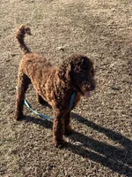 processed/f4f8128a-6f0a-4d8b-b482-1fb87e33d0db/listing/489f4663-bc68-4d05-a4c3-18c6a9e16828/7d6ec992-36a2-49e7-82ed-b7ec573f9296