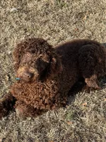 processed/f4f8128a-6f0a-4d8b-b482-1fb87e33d0db/listing/489f4663-bc68-4d05-a4c3-18c6a9e16828/7d9699d7-70d8-439e-a105-3d774bc513c8