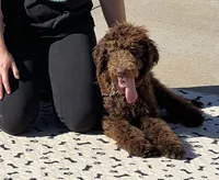 processed/f4f8128a-6f0a-4d8b-b482-1fb87e33d0db/listing/489f4663-bc68-4d05-a4c3-18c6a9e16828/85dbb8b3-c8da-4d45-bb2a-2d065bd086a8