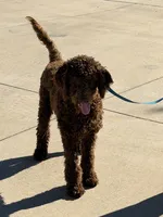 processed/f4f8128a-6f0a-4d8b-b482-1fb87e33d0db/listing/489f4663-bc68-4d05-a4c3-18c6a9e16828/b0f0f633-f28f-47df-a678-eede2177018a