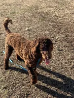 processed/f4f8128a-6f0a-4d8b-b482-1fb87e33d0db/listing/489f4663-bc68-4d05-a4c3-18c6a9e16828/bd42b64a-4525-4b7c-9445-e839f9b517ac