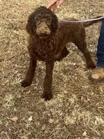 processed/f4f8128a-6f0a-4d8b-b482-1fb87e33d0db/listing/489f4663-bc68-4d05-a4c3-18c6a9e16828/fbdaf1c3-38c3-4798-a7eb-ae245443a5c9