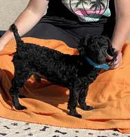 processed/f4f8128a-6f0a-4d8b-b482-1fb87e33d0db/listing/5b6956b7-9f25-4359-ad5d-a0fd17865c14/9acf1a4f-0a76-437b-903b-522fac1388dd