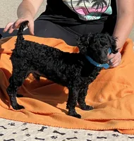 processed/f4f8128a-6f0a-4d8b-b482-1fb87e33d0db/listing/5b6956b7-9f25-4359-ad5d-a0fd17865c14/d4b683ef-e513-4cad-b9a8-f7f65715dc94