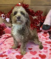 processed/f4f8128a-6f0a-4d8b-b482-1fb87e33d0db/listing/63814238-11ca-4f23-a16d-a5ba3dc10f47/0b179752-13c6-42b2-a556-5bdb71d4da6b