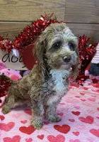 processed/f4f8128a-6f0a-4d8b-b482-1fb87e33d0db/listing/63814238-11ca-4f23-a16d-a5ba3dc10f47/af69b32c-65f9-4c00-98e8-90dddbd4675f