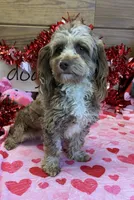 processed/f4f8128a-6f0a-4d8b-b482-1fb87e33d0db/listing/63814238-11ca-4f23-a16d-a5ba3dc10f47/b6e79c6b-178b-4f66-bd8c-a25a06d3df49