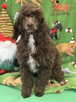 processed/f4f8128a-6f0a-4d8b-b482-1fb87e33d0db/listing/6e3889a6-82e7-42f5-99c2-116c39cc8f26/10d679e0-75a2-4ea8-bfce-fe67496b3738