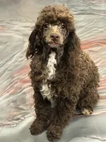 processed/f4f8128a-6f0a-4d8b-b482-1fb87e33d0db/listing/6e3889a6-82e7-42f5-99c2-116c39cc8f26/cdff3c95-5c3a-4053-8130-086492bc08a4