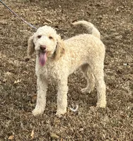 processed/f4f8128a-6f0a-4d8b-b482-1fb87e33d0db/listing/7d95427f-d721-4592-9d2e-643f56d09fa7/8ba1f56d-d2a2-46ed-b676-7a7da9c7f997