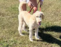 processed/f4f8128a-6f0a-4d8b-b482-1fb87e33d0db/listing/7d95427f-d721-4592-9d2e-643f56d09fa7/8c24ec0a-e6ac-49df-8347-33f8c8fe883e