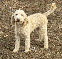 processed/f4f8128a-6f0a-4d8b-b482-1fb87e33d0db/listing/7d95427f-d721-4592-9d2e-643f56d09fa7/8eb4549c-66f1-49d3-9298-2ffc7a37725d