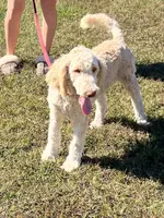 processed/f4f8128a-6f0a-4d8b-b482-1fb87e33d0db/listing/7d95427f-d721-4592-9d2e-643f56d09fa7/981fa0e6-ac15-4870-a1cf-1fde36f57005