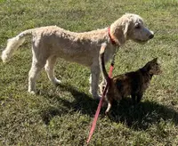 processed/f4f8128a-6f0a-4d8b-b482-1fb87e33d0db/listing/7d95427f-d721-4592-9d2e-643f56d09fa7/9da8fffc-df48-4730-8ab4-df2c74a483cc