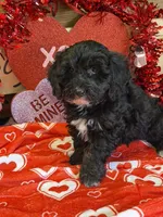 processed/f4f8128a-6f0a-4d8b-b482-1fb87e33d0db/listing/a5b66413-2f2f-4b6e-a74a-74d1382158c0/0bf9dc31-5ab8-4a89-a08d-9ef73a05db51