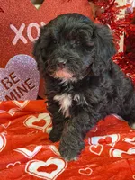 processed/f4f8128a-6f0a-4d8b-b482-1fb87e33d0db/listing/a5b66413-2f2f-4b6e-a74a-74d1382158c0/0ca10d44-2500-458b-968d-8d50103c6d37