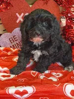 processed/f4f8128a-6f0a-4d8b-b482-1fb87e33d0db/listing/a5b66413-2f2f-4b6e-a74a-74d1382158c0/e684aec8-5efb-4c06-b531-6bfc4dbd88a7