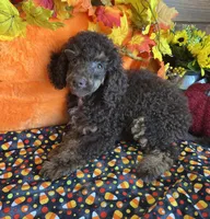 processed/f4f8128a-6f0a-4d8b-b482-1fb87e33d0db/listing/aade64e7-fe7b-40c0-993f-967ea213911f/58afa9a4-384f-499a-8787-a6c7f0296382