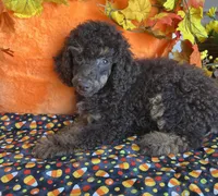 processed/f4f8128a-6f0a-4d8b-b482-1fb87e33d0db/listing/aade64e7-fe7b-40c0-993f-967ea213911f/63b5a0fc-5b7c-470a-ba4e-30530803ba49