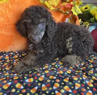 processed/f4f8128a-6f0a-4d8b-b482-1fb87e33d0db/listing/aade64e7-fe7b-40c0-993f-967ea213911f/7d5d9c36-65d3-468c-981b-86cafa02a257