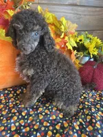 processed/f4f8128a-6f0a-4d8b-b482-1fb87e33d0db/listing/aade64e7-fe7b-40c0-993f-967ea213911f/8f18b75f-36bd-4ac1-af10-69baf53a32b3