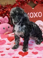 processed/f4f8128a-6f0a-4d8b-b482-1fb87e33d0db/listing/b0a65bae-cf3d-4f44-bd7b-9802d234e2a5/1cf50a54-c2f5-4071-be29-6e98675c482f