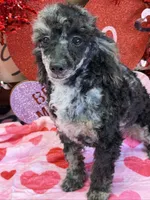 processed/f4f8128a-6f0a-4d8b-b482-1fb87e33d0db/listing/b0a65bae-cf3d-4f44-bd7b-9802d234e2a5/45fd875e-028d-4adc-b1a6-0d3a8cbe985c