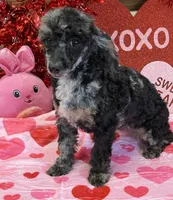 processed/f4f8128a-6f0a-4d8b-b482-1fb87e33d0db/listing/b0a65bae-cf3d-4f44-bd7b-9802d234e2a5/789838d6-3259-49b0-be57-1d4316591854