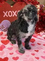 processed/f4f8128a-6f0a-4d8b-b482-1fb87e33d0db/listing/b0a65bae-cf3d-4f44-bd7b-9802d234e2a5/e0289281-5929-4508-886d-1c6c4c7af1e6