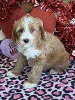 processed/f4f8128a-6f0a-4d8b-b482-1fb87e33d0db/listing/b0af63d1-9992-4e91-b278-f1ec9fa3db0d/1239b22c-039e-4267-9407-5e4e42be1f52