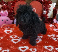 processed/f4f8128a-6f0a-4d8b-b482-1fb87e33d0db/listing/d67c7364-07de-4a25-8f75-fd5ed6a9154d/6b83f2fe-26f5-46d8-9a7d-52713c25460f