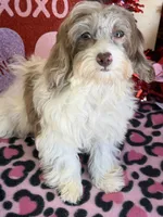 processed/f4f8128a-6f0a-4d8b-b482-1fb87e33d0db/listing/dcd37f4d-2766-4fd7-b708-b6d2bdb685c7/11f6c5b5-224b-4ad1-831c-c4aed594f69a