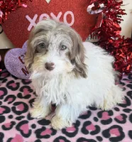 processed/f4f8128a-6f0a-4d8b-b482-1fb87e33d0db/listing/dcd37f4d-2766-4fd7-b708-b6d2bdb685c7/243847c8-4c82-4d3b-b07d-2a8b3eeb57dd