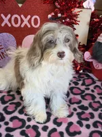 processed/f4f8128a-6f0a-4d8b-b482-1fb87e33d0db/listing/dcd37f4d-2766-4fd7-b708-b6d2bdb685c7/373e2936-0b97-4fb5-928e-a20e191cd392