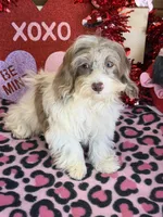 processed/f4f8128a-6f0a-4d8b-b482-1fb87e33d0db/listing/dcd37f4d-2766-4fd7-b708-b6d2bdb685c7/b3bfe7bf-234b-4c6b-9aaf-3f9513223866