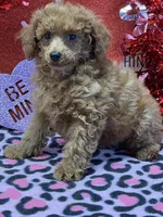 processed/f4f8128a-6f0a-4d8b-b482-1fb87e33d0db/listing/de329256-9dbb-4bdb-90da-24183ebab7a2/9b147e88-5ed1-43b7-90da-7ad05e93c038