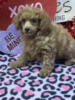 processed/f4f8128a-6f0a-4d8b-b482-1fb87e33d0db/listing/de329256-9dbb-4bdb-90da-24183ebab7a2/a23bb550-a1c0-45d0-a5af-1866ee850c8f