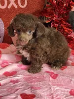 processed/f4f8128a-6f0a-4d8b-b482-1fb87e33d0db/listing/e13d2b10-7ff4-40af-b6ac-da20a9deb08c/e4770673-b837-4b76-9935-49afa23f9721