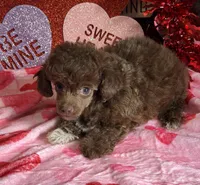 processed/f4f8128a-6f0a-4d8b-b482-1fb87e33d0db/listing/e13d2b10-7ff4-40af-b6ac-da20a9deb08c/ed27043d-d8aa-4a1d-9e62-b1d2cf0ccc62