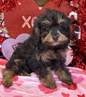 processed/f4f8128a-6f0a-4d8b-b482-1fb87e33d0db/listing/e2ace50d-6da7-464b-974f-4f3d7cb352be/7f7a9753-129c-4b05-9622-2338f588d5fc