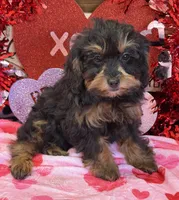 processed/f4f8128a-6f0a-4d8b-b482-1fb87e33d0db/listing/e2ace50d-6da7-464b-974f-4f3d7cb352be/9f5e94e7-8aa9-4bc1-9a20-693d384b5b3f